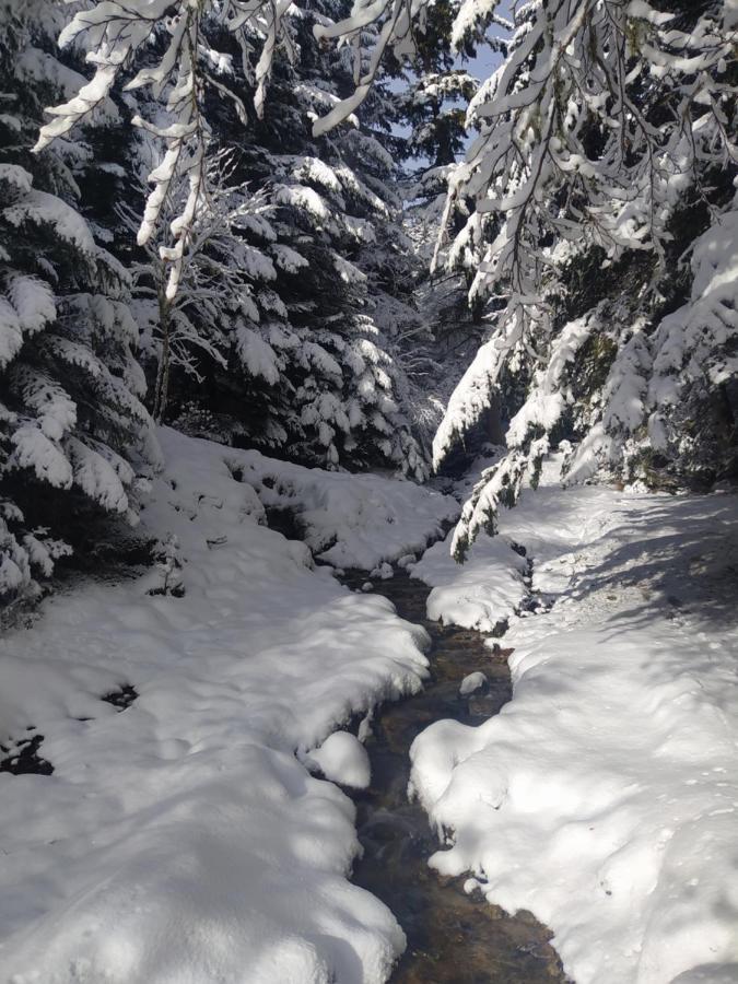 Studio 4 Personnes Au Pied Des Piste Plateau De Bonascre - Ax 3 Domaines Ete Hiver Ax-les-Thermes Εξωτερικό φωτογραφία