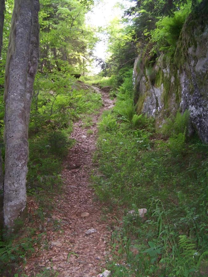 Studio 4 Personnes Au Pied Des Piste Plateau De Bonascre - Ax 3 Domaines Ete Hiver Ax-les-Thermes Εξωτερικό φωτογραφία