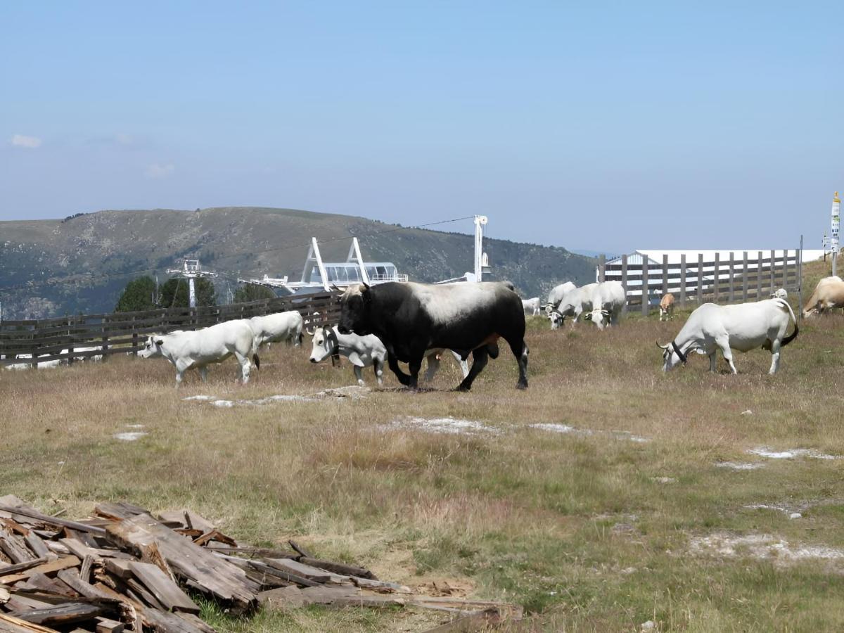 Studio 4 Personnes Au Pied Des Piste Plateau De Bonascre - Ax 3 Domaines Ete Hiver Ax-les-Thermes Εξωτερικό φωτογραφία